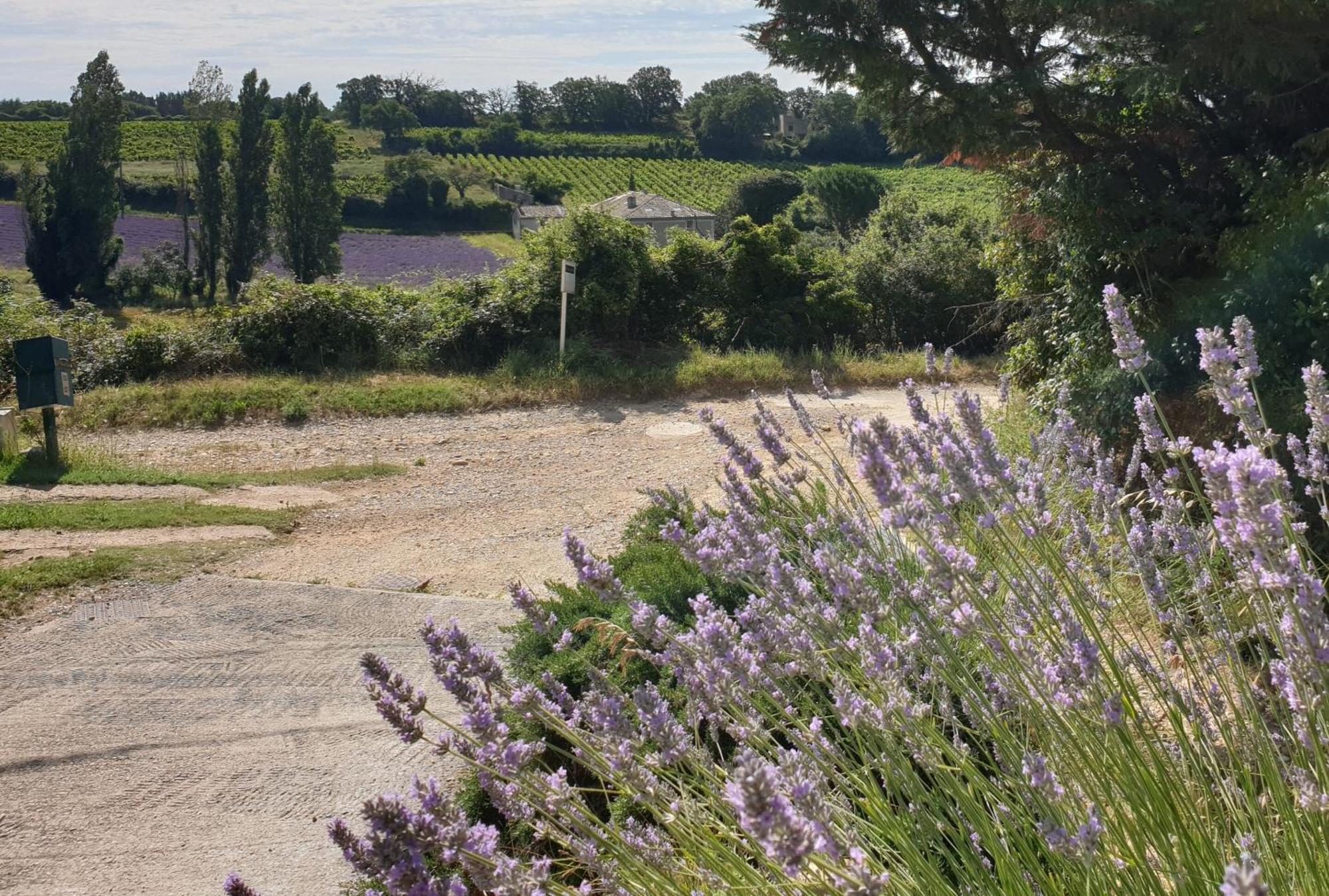 Le Clos du Grand Chêne Saint-Marcel-d'Ardeche Exterior foto